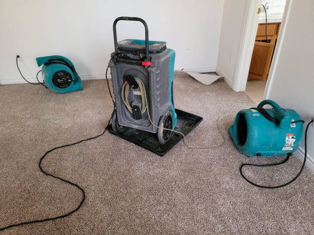 Best Water damage cleanup near me  in Poteau, OK